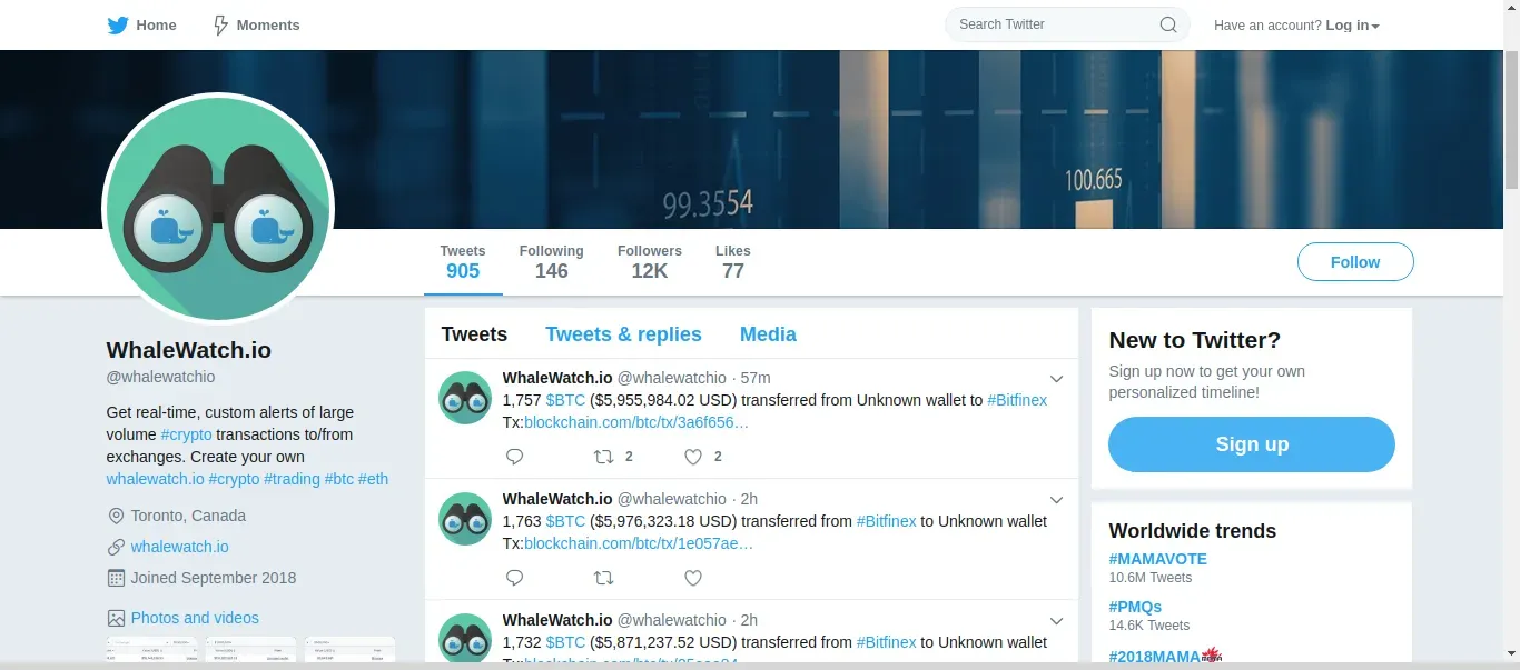 whalewatch.io
